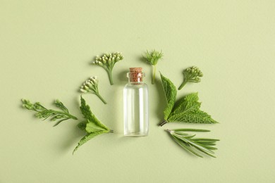 Photo of Essential oil and different plants on green background, flat lay