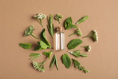Photo of Essential oil and different plants on brown background, flat lay