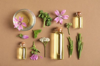 Photo of Essential oils and different plants on brown background, flat lay