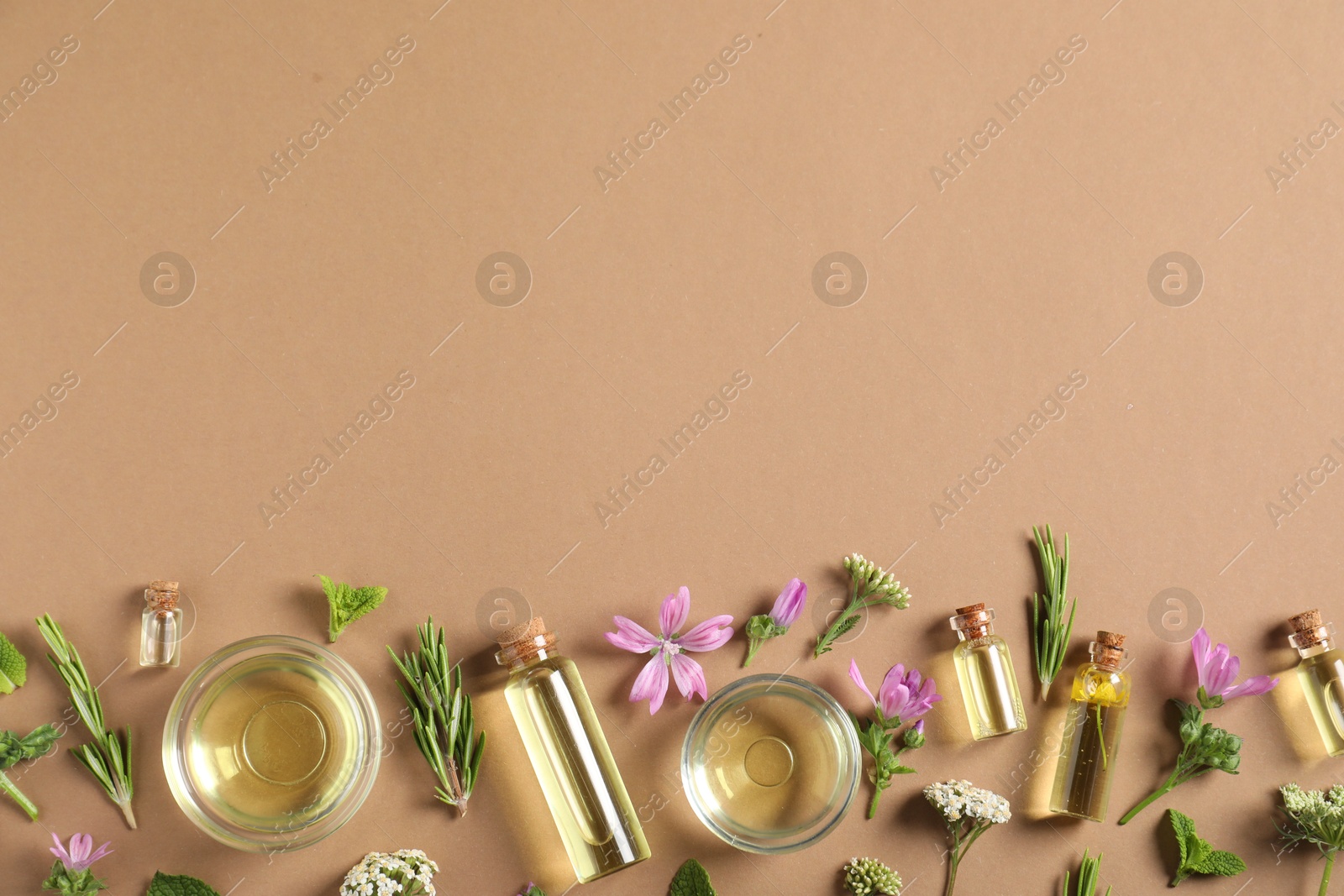 Photo of Essential oils and different plants on brown background, flat lay. Space for text