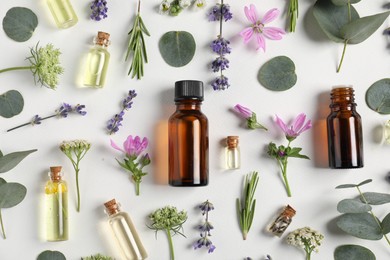 Photo of Essential oils and different plants on white background, flat lay