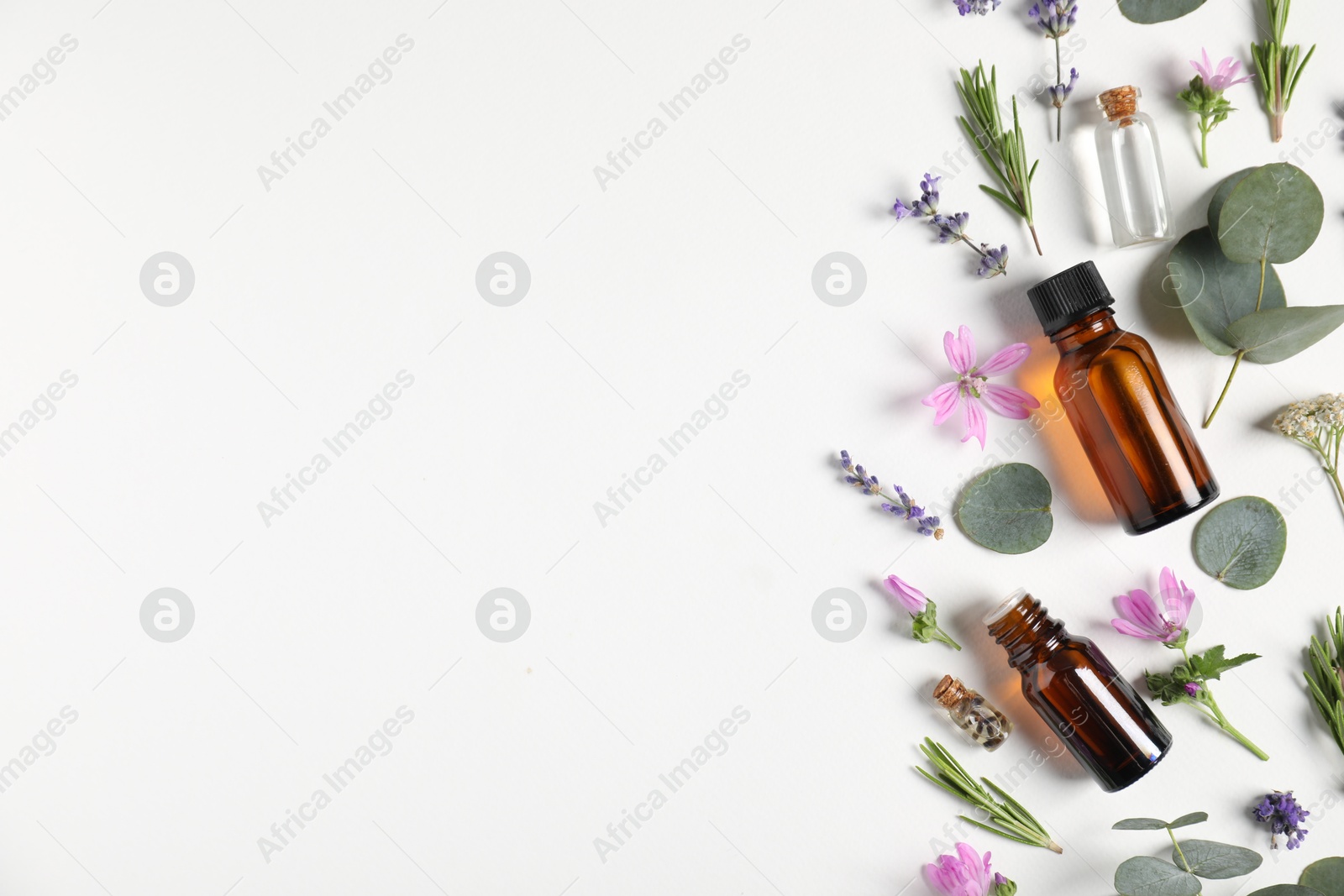 Photo of Essential oils and different plants on white background, flat lay. Space for text