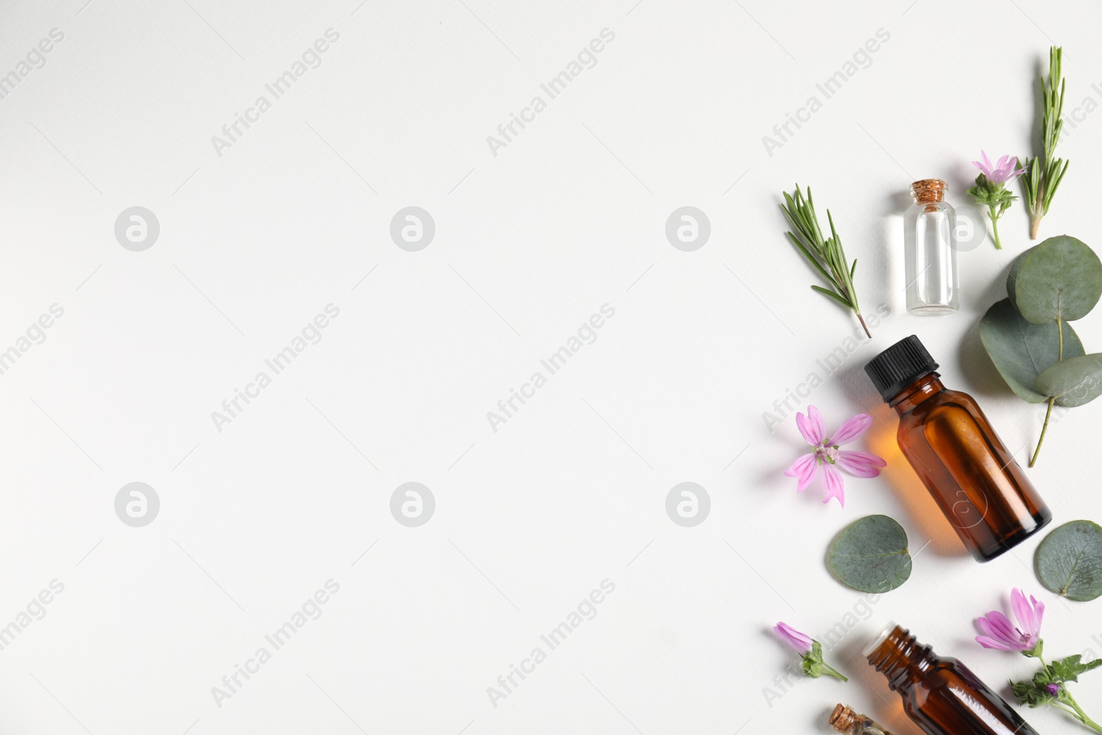 Photo of Essential oils and different plants on white background, flat lay. Space for text