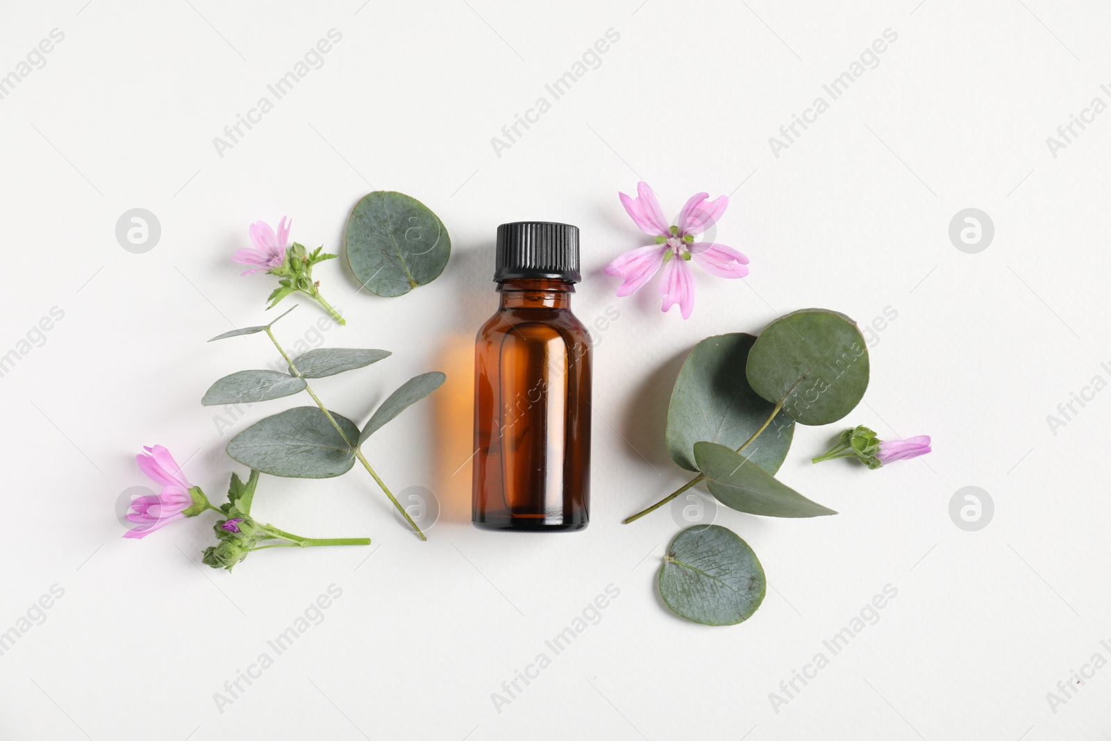 Photo of Essential oil and different plants on white background, flat lay