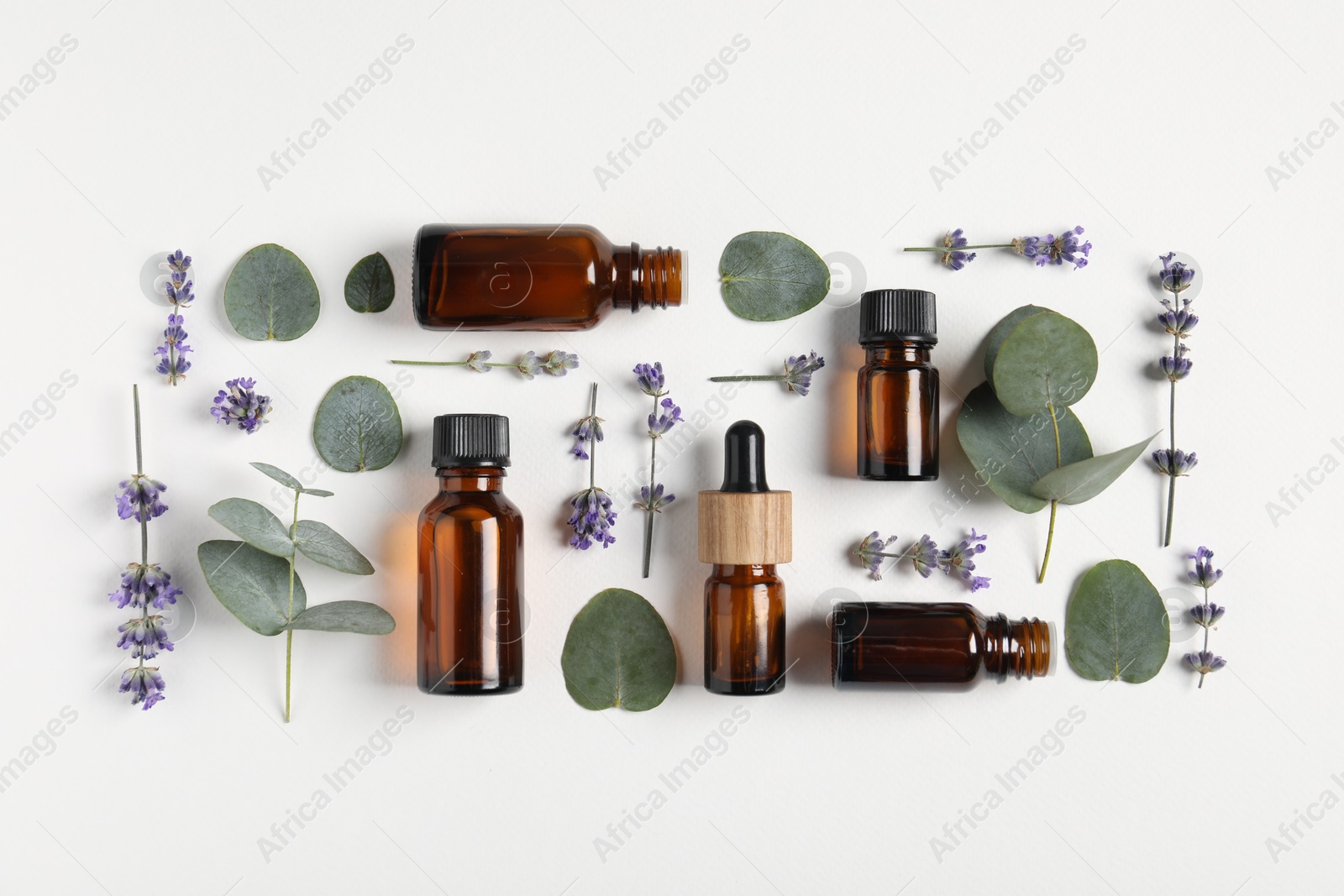 Photo of Essential oils and different plants on white background, flat lay