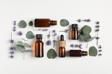 Photo of Essential oils and different plants on white background, flat lay