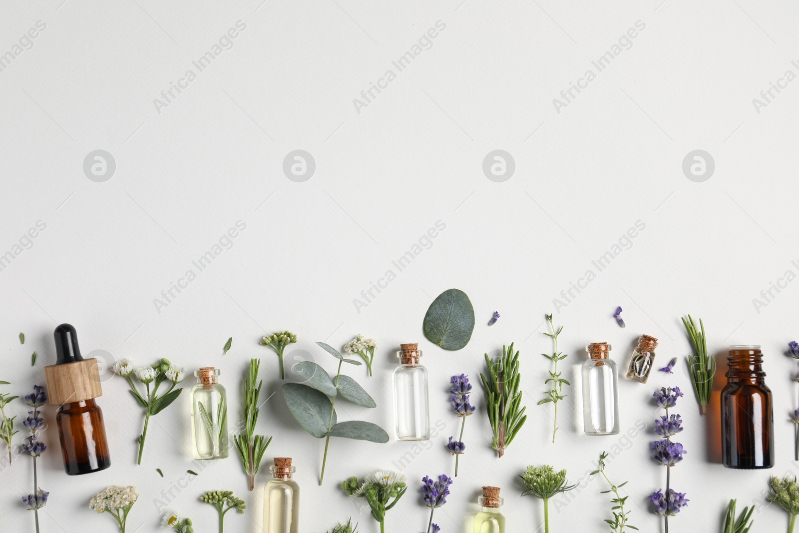 Photo of Essential oils and different plants on white background, flat lay. Space for text