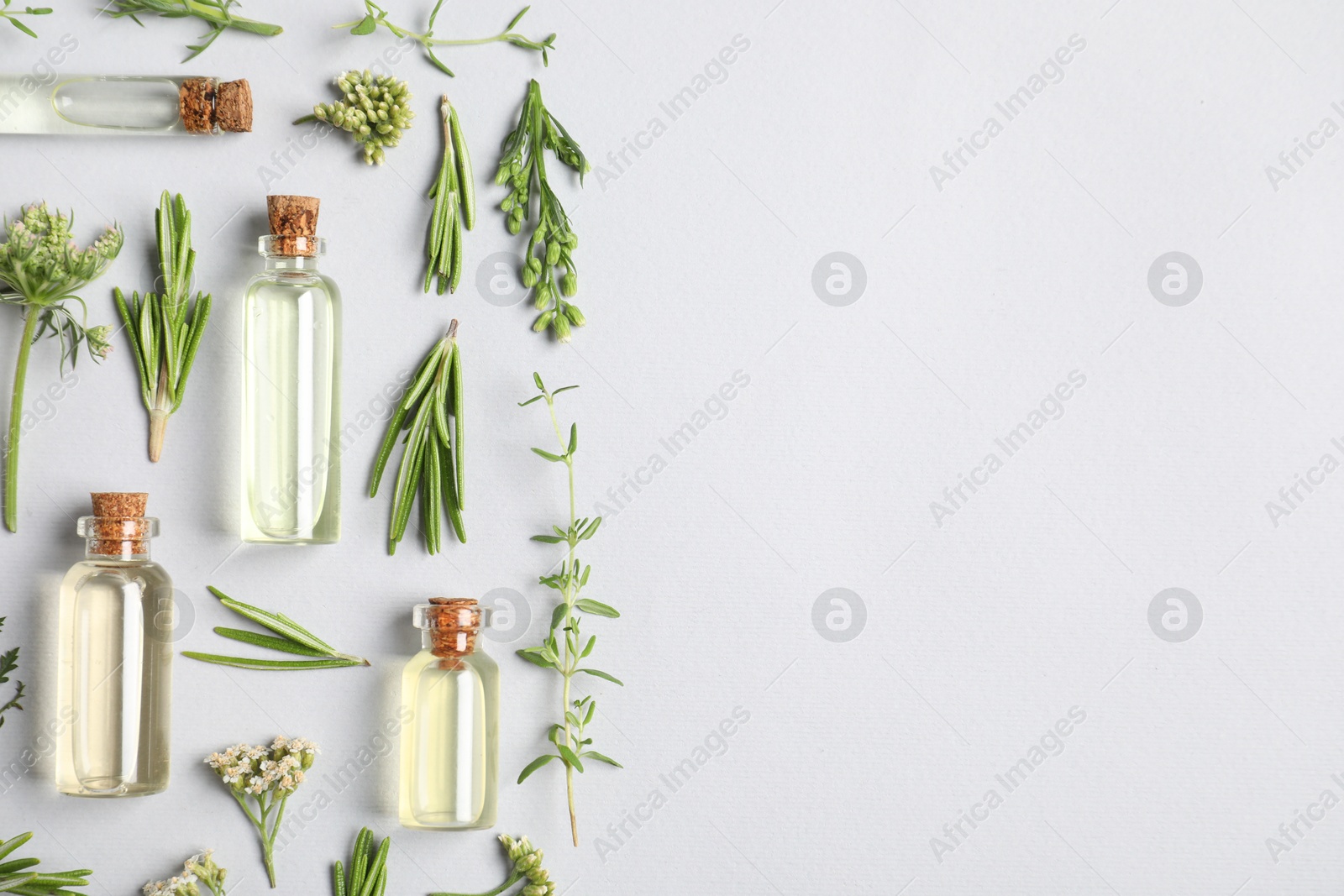 Photo of Essential oils and different plants on white background, flat lay. Space for text