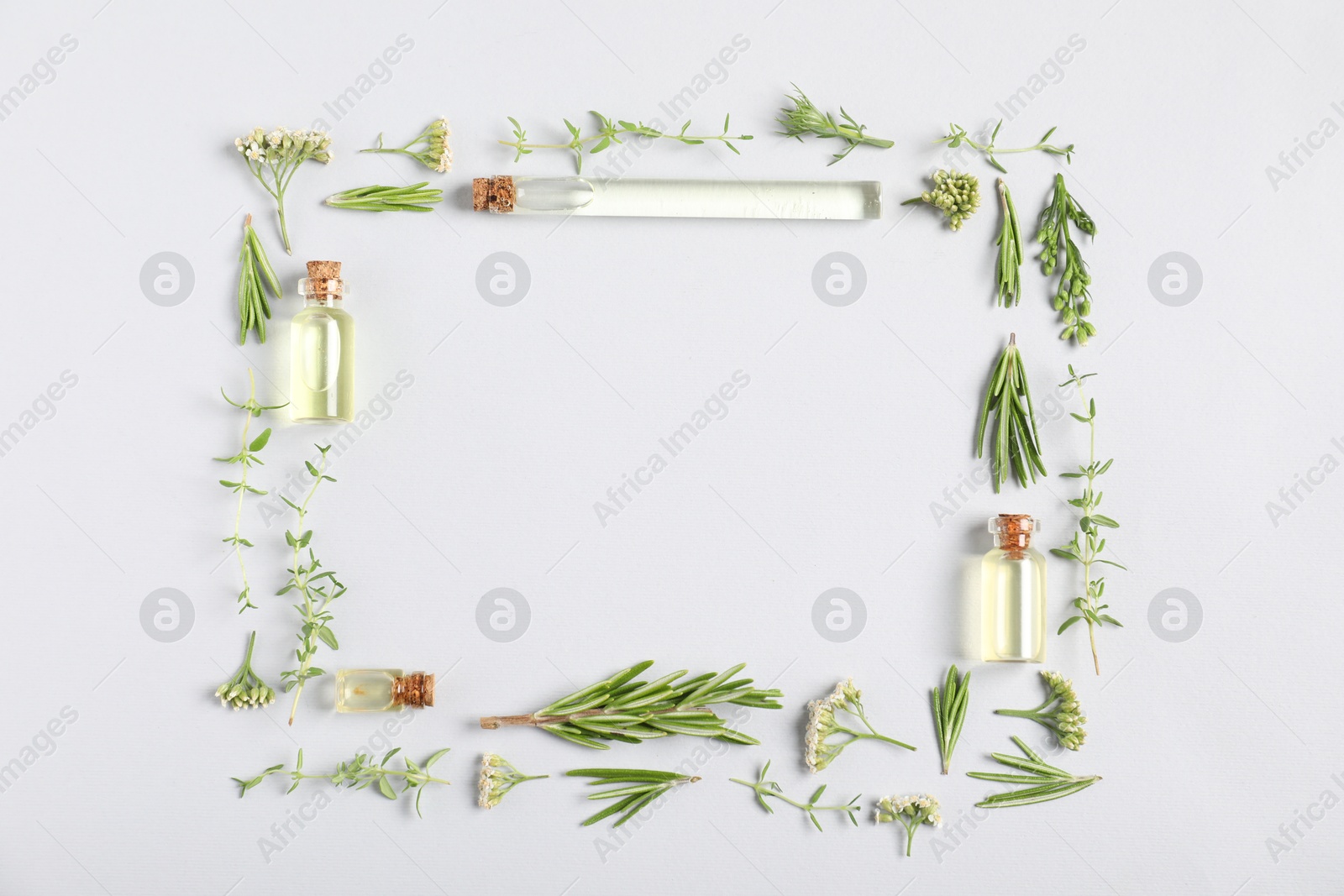 Photo of Frame of essential oils and different plants on white background, flat lay. Space for text
