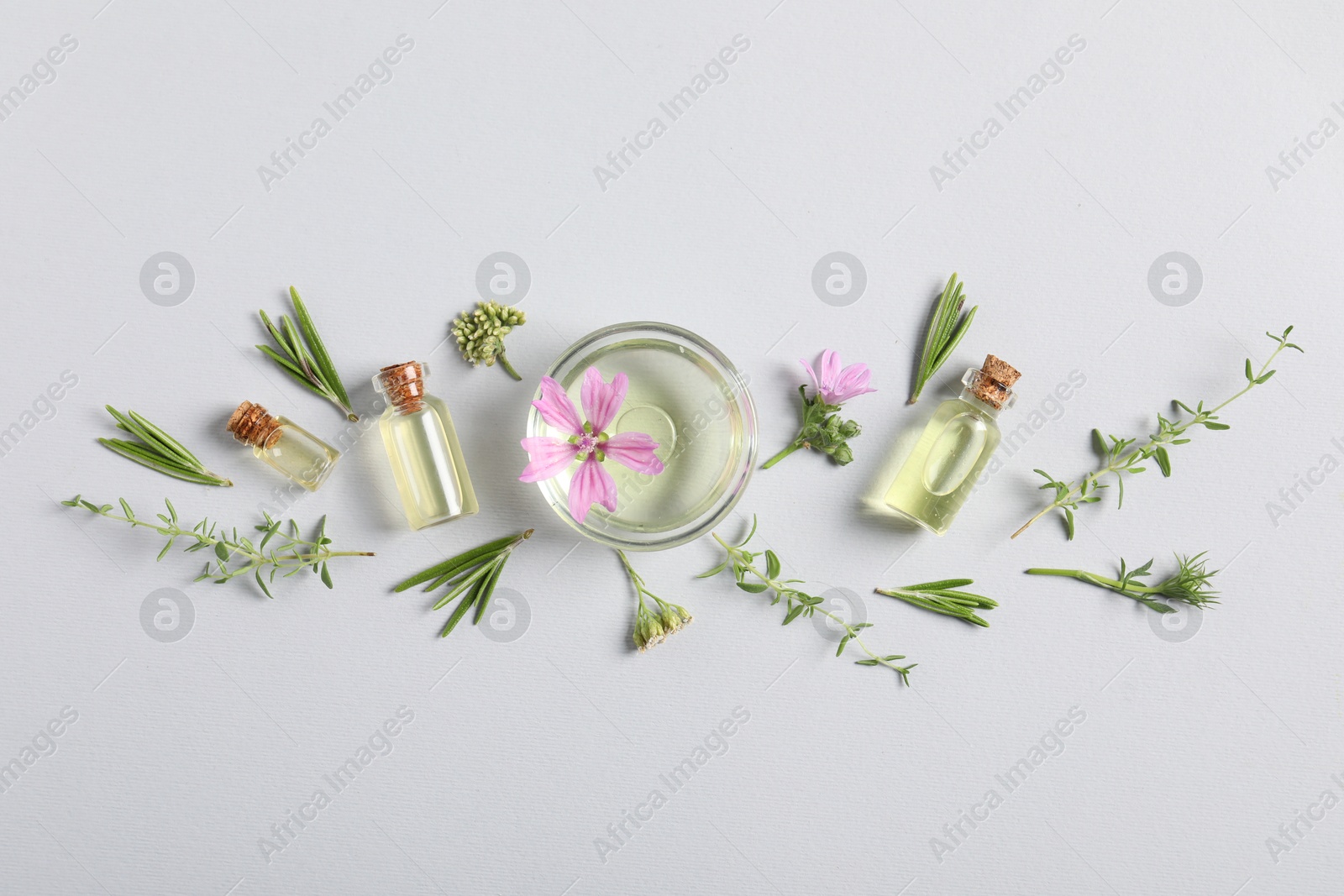 Photo of Essential oils and different plants on white background, flat lay