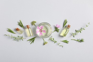Photo of Essential oils and different plants on white background, flat lay