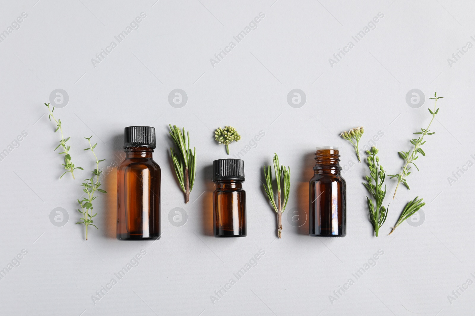 Photo of Essential oils and different plants on white background, flat lay