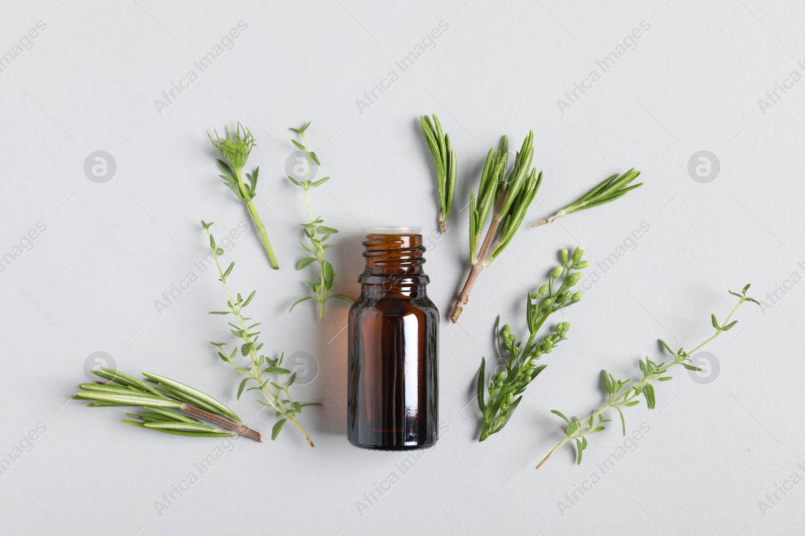 Photo of Essential oil and different plants on white background, flat lay