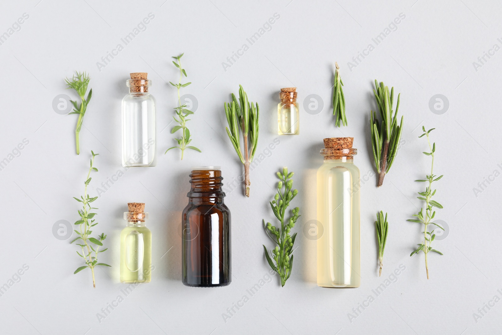 Photo of Essential oils and different plants on white background, flat lay