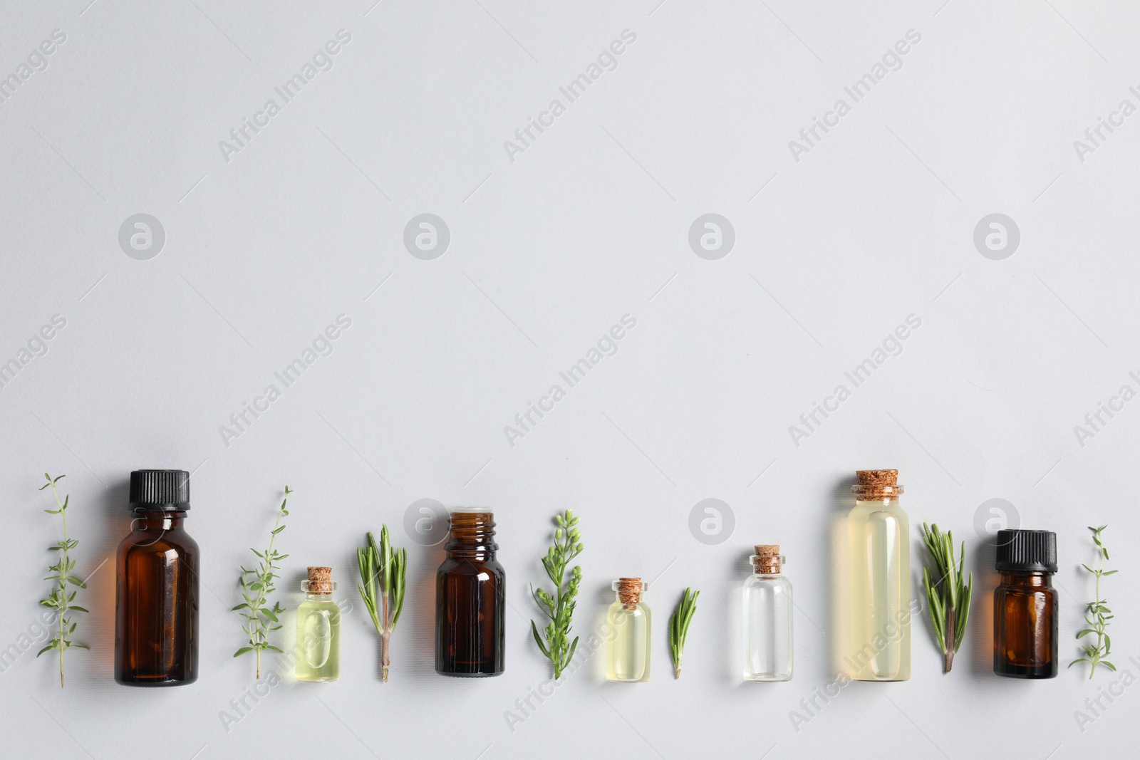 Photo of Essential oils and different plants on white background, flat lay. Space for text