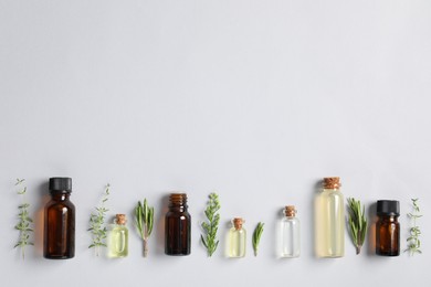 Photo of Essential oils and different plants on white background, flat lay. Space for text