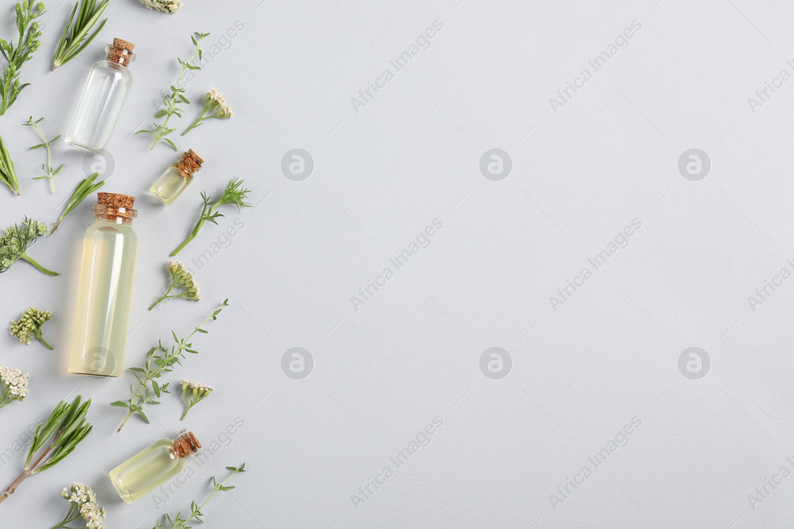 Photo of Essential oils and different plants on white background, flat lay. Space for text
