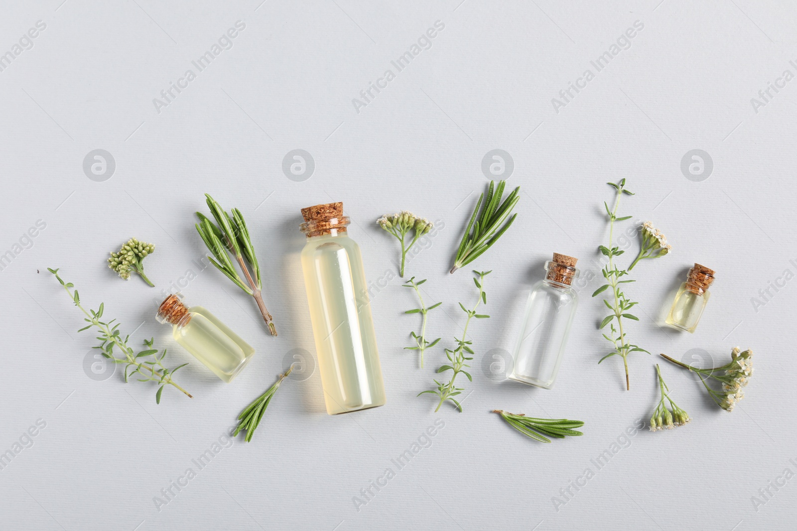 Photo of Essential oils and different plants on white background, flat lay