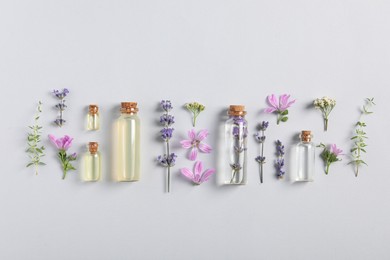 Photo of Essential oils and different plants on white background, flat lay