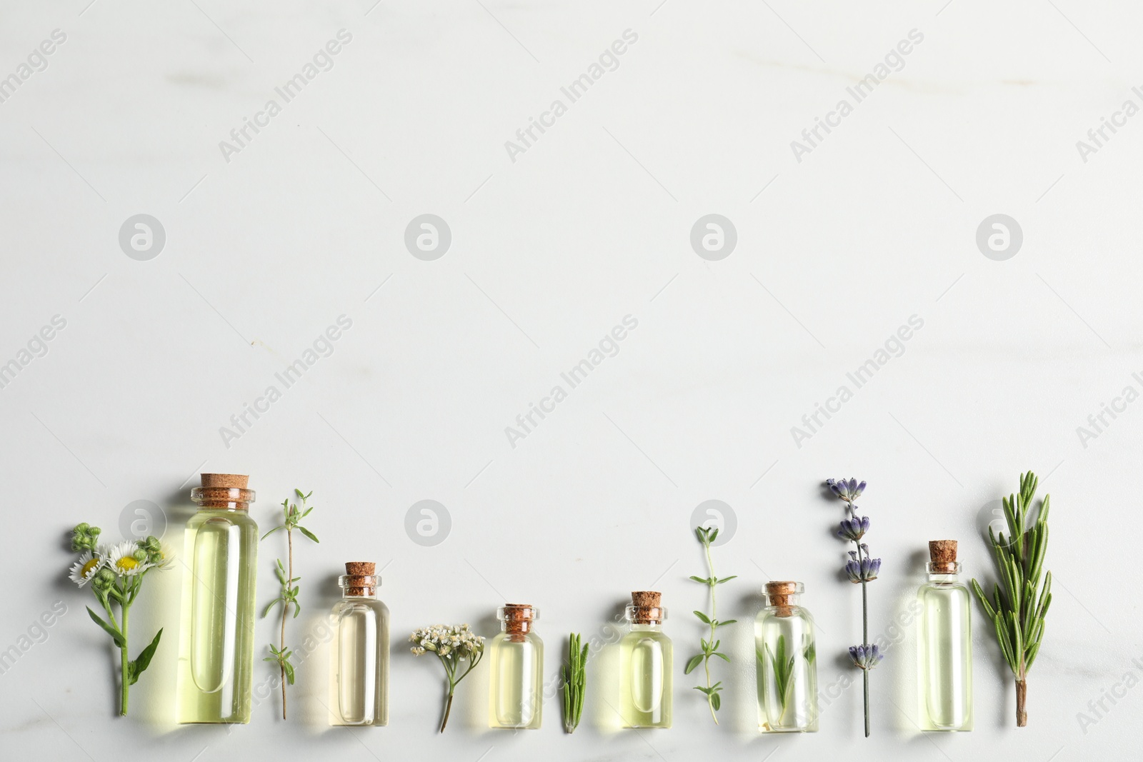 Photo of Essential oils and different plants on white background, flat lay. Space for text