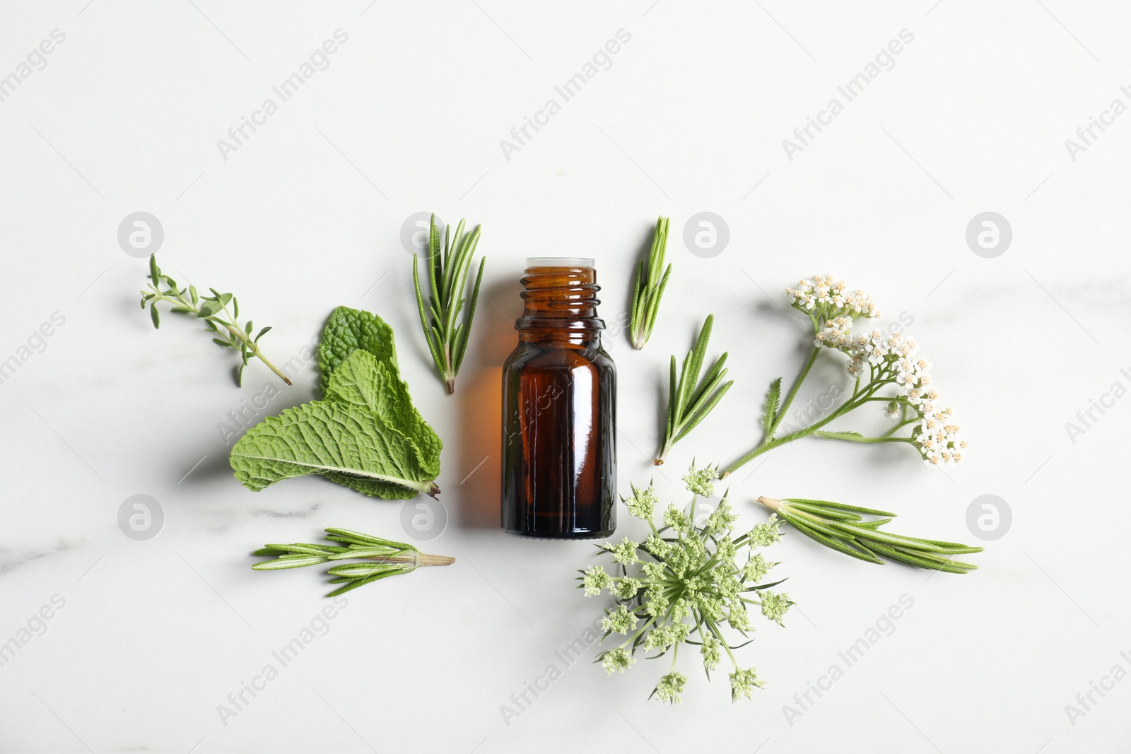 Photo of Essential oil and different plants on white background, flat lay
