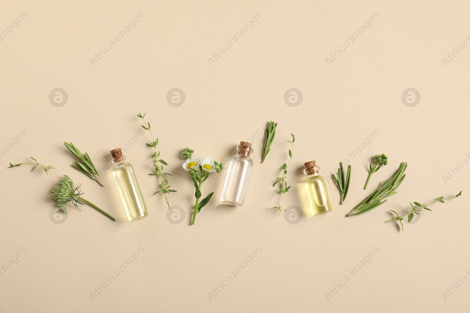 Photo of Essential oils and different plants on beige background, flat lay