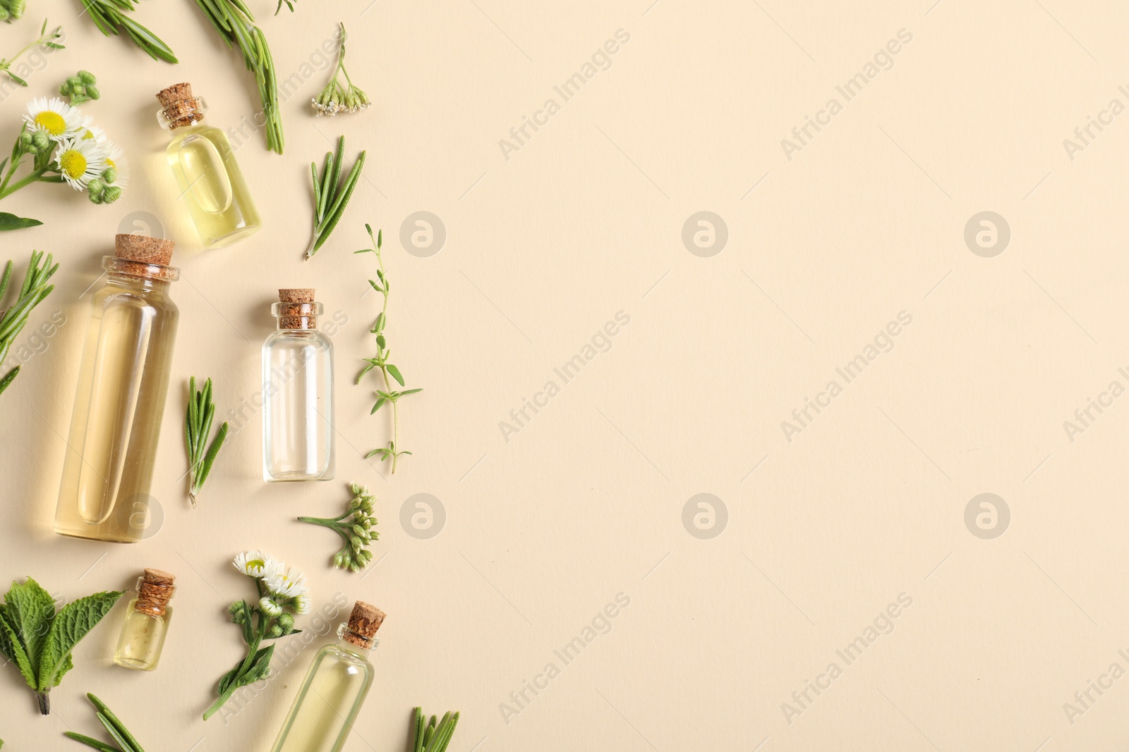 Photo of Essential oils and different plants on beige background, flat lay. Space for text