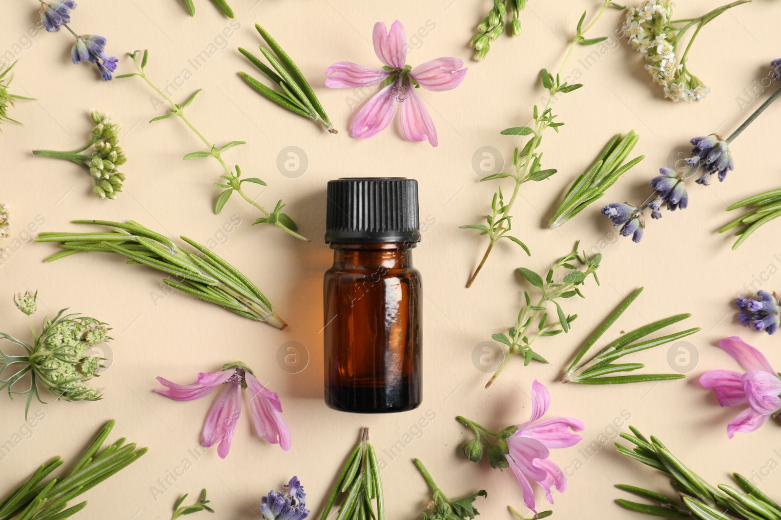 Photo of Essential oil and different plants on beige background, flat lay