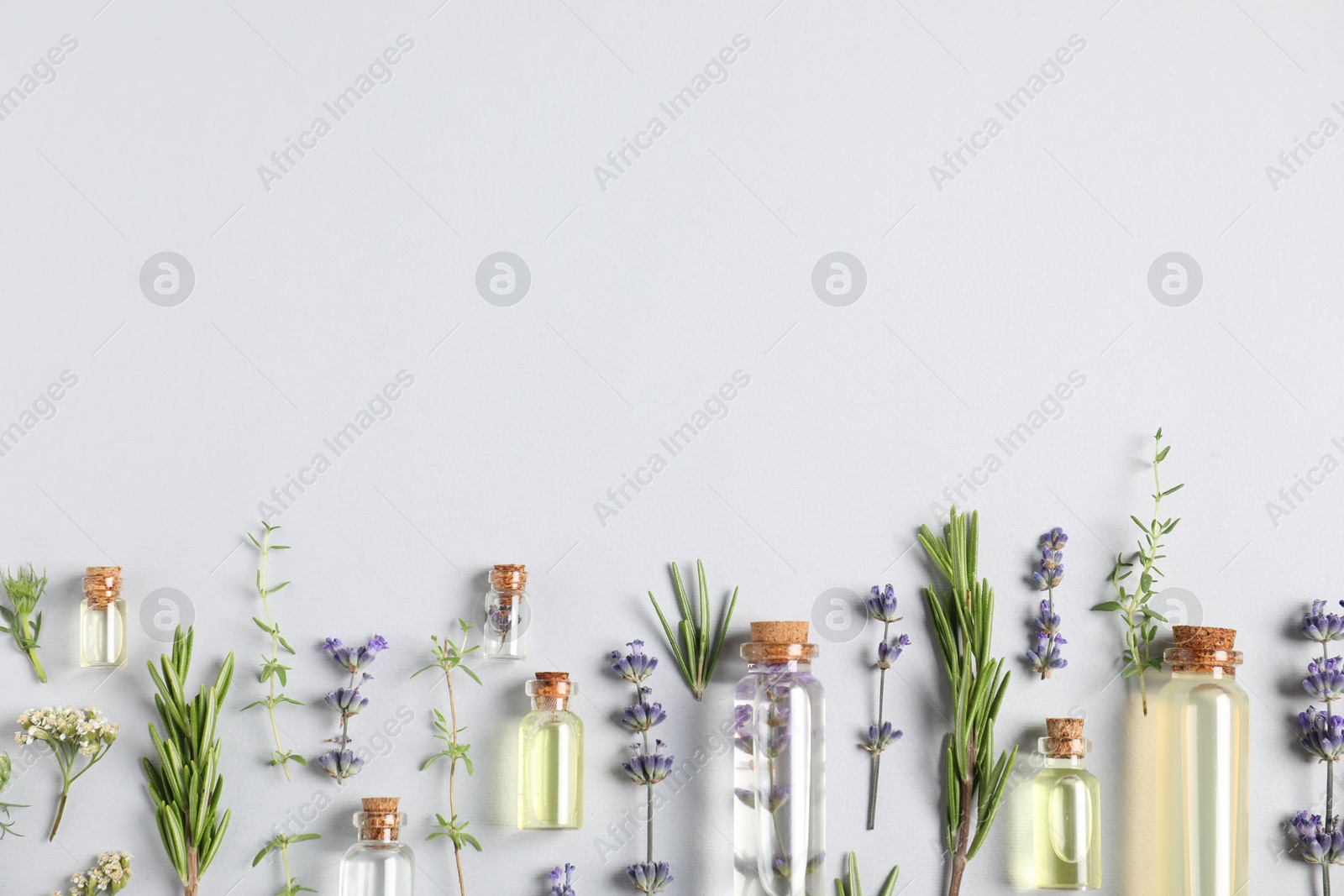 Photo of Essential oils and different plants on white background, flat lay. Space for text