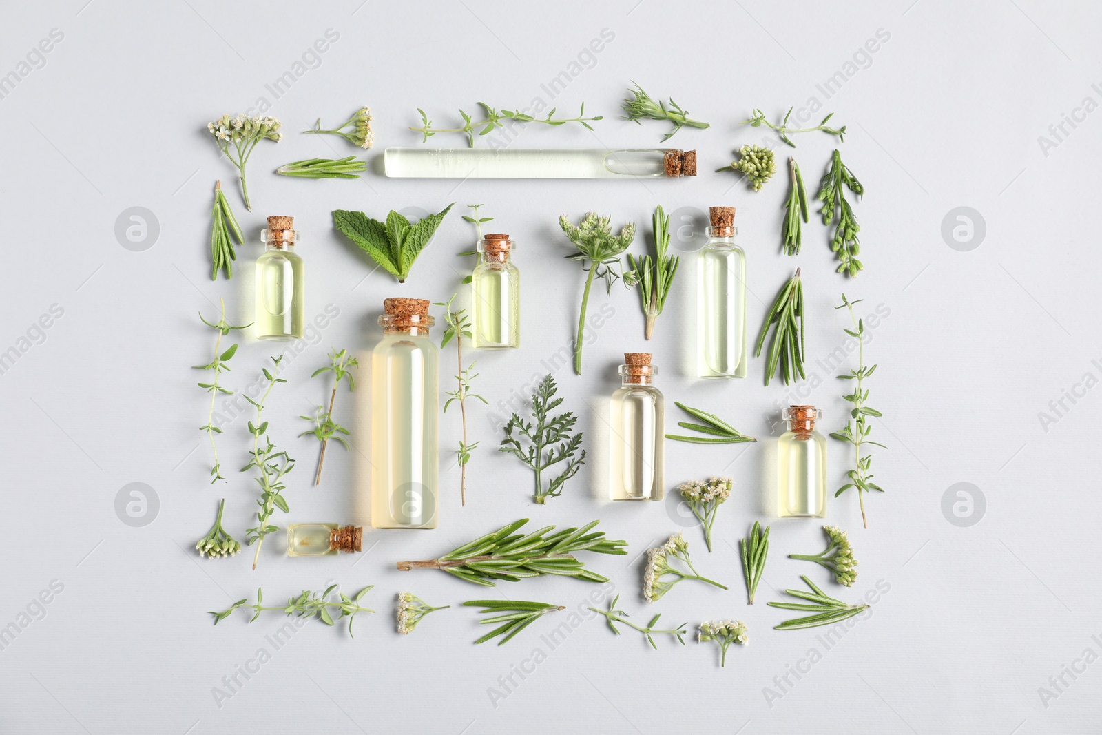 Photo of Essential oils and different plants on white background, flat lay