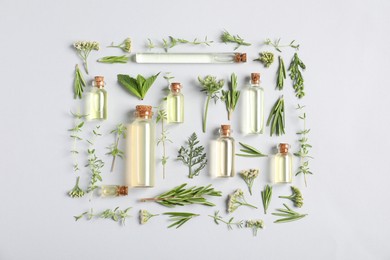 Photo of Essential oils and different plants on white background, flat lay