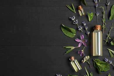 Photo of Essential oils and different plants on black wooden background, flat lay. Space for text