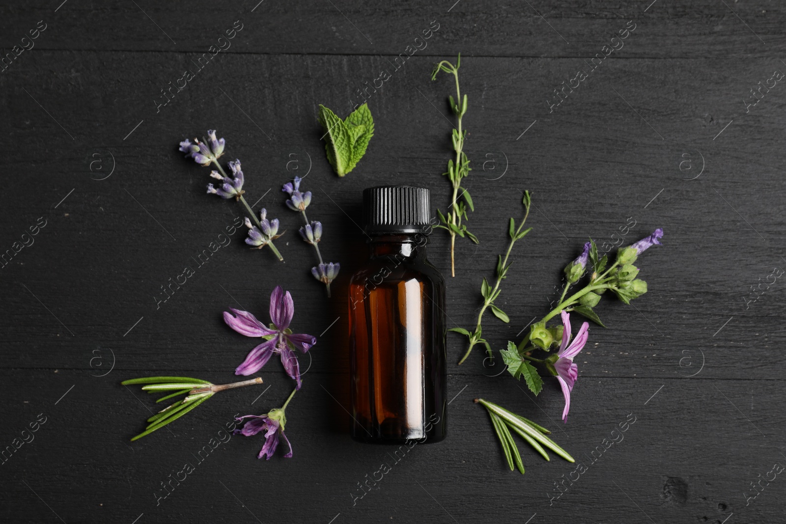 Photo of Essential oil and different plants on black wooden background, flat lay