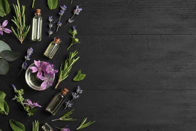 Photo of Essential oils and different plants on black wooden background, flat lay. Space for text