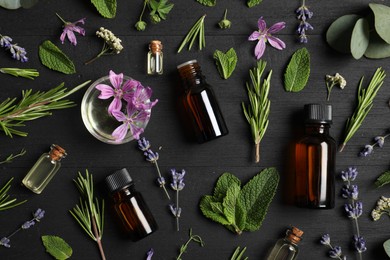 Photo of Essential oils and different plants on black wooden background, flat lay