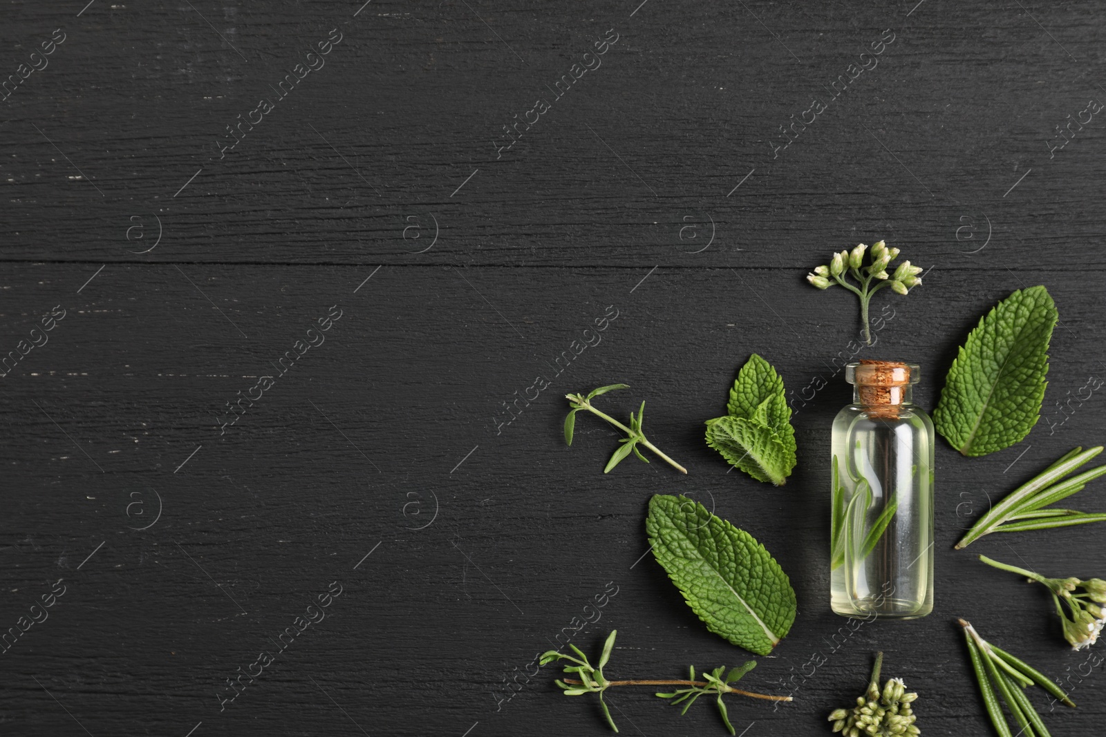Photo of Essential oil and different plants on black wooden background, flat lay. Space for text