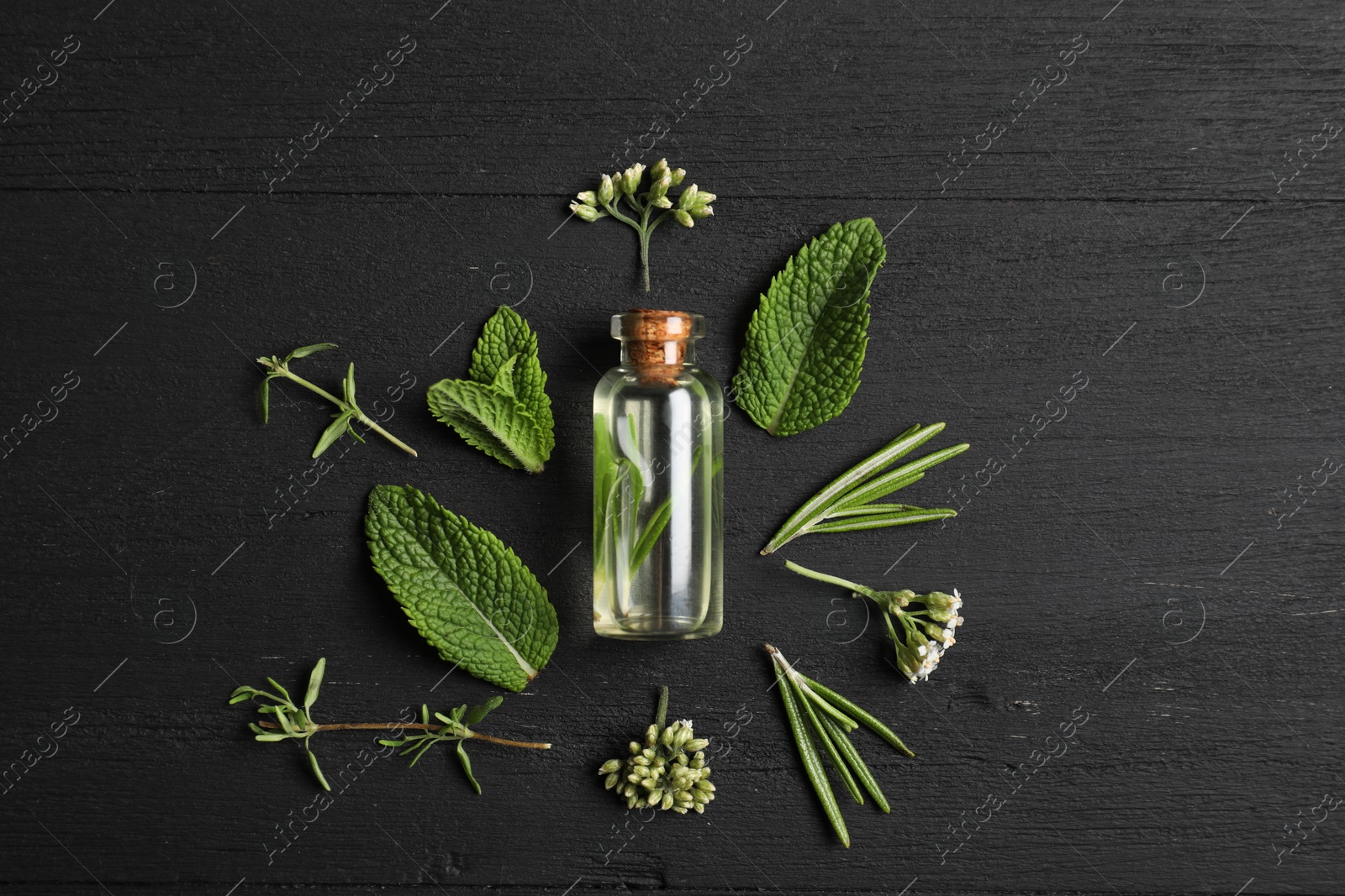 Photo of Essential oil and different plants on black wooden background, flat lay