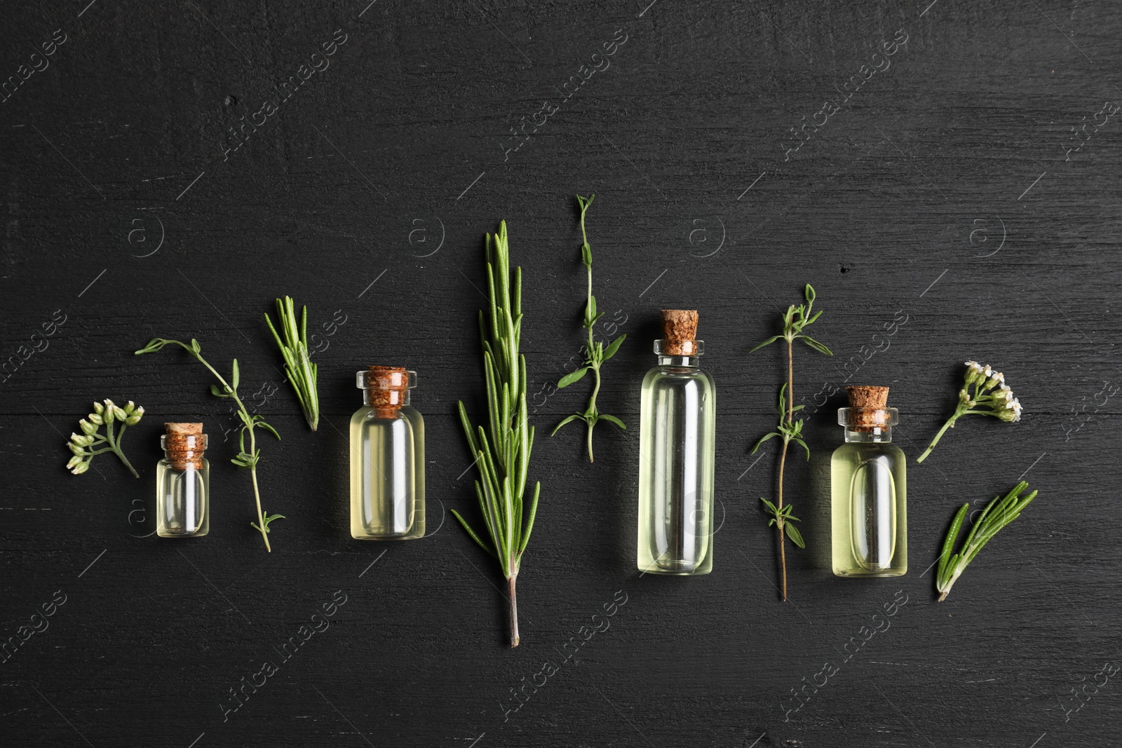 Photo of Essential oils and different plants on black wooden background, flat lay