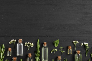 Photo of Essential oils and different plants on black wooden background, flat lay. Space for text