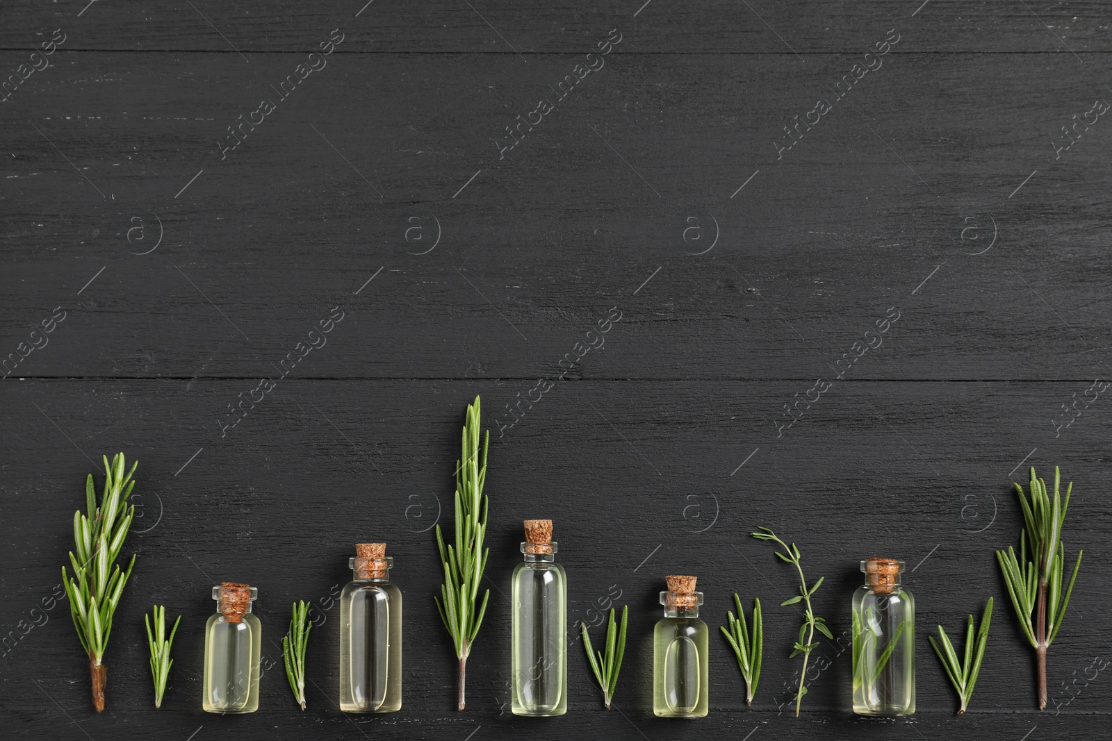 Photo of Essential oils and plants on black wooden background, flat lay. Space for text
