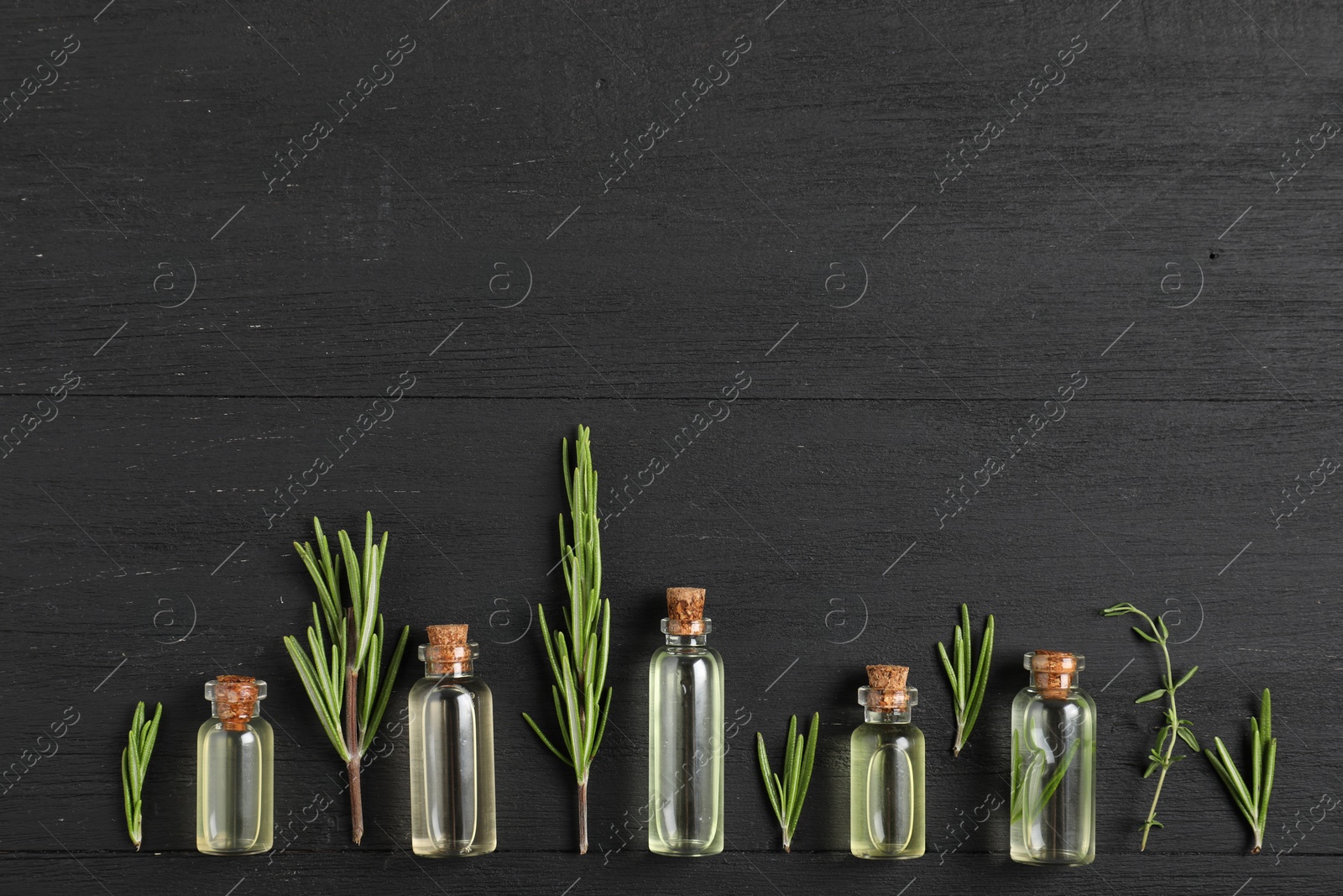 Photo of Essential oils and plants on black wooden background, flat lay. Space for text