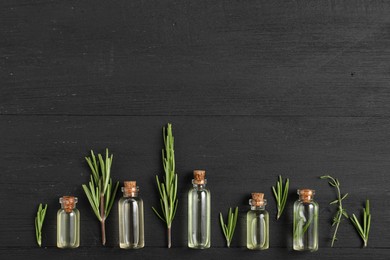 Photo of Essential oils and plants on black wooden background, flat lay. Space for text