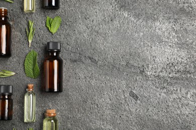 Photo of Essential oils and different plants on grey background, flat lay