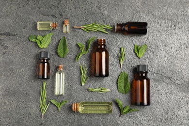 Photo of Essential oils and different plants on grey background, flat lay