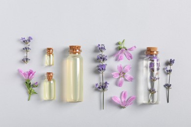 Photo of Essential oils and different plants on white background, flat lay