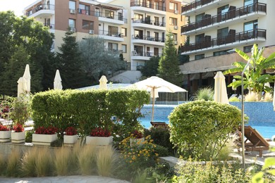 Photo of Sunbeds, umbrellas and different green plants near swimming pool at luxury resort