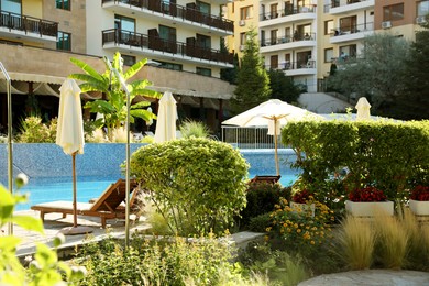 Photo of Sunbeds, umbrellas and different green plants near swimming pool at luxury resort