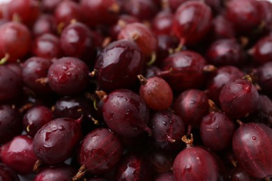 Photo of Fresh ripe red gooseberries as background, closeup