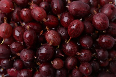 Photo of Fresh ripe red gooseberries as background, closeup