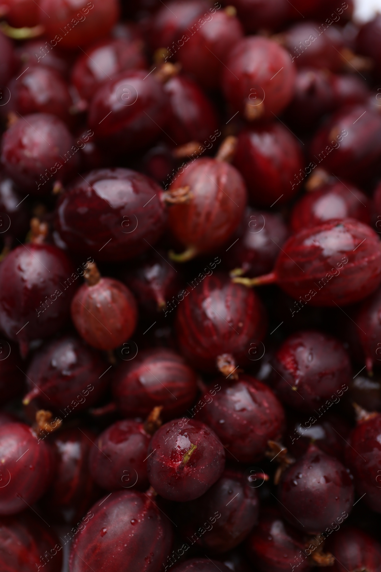 Fresh ripe red gooseberries as background, closeup Photo of Fresh ripe red gooseberries as background, closeup